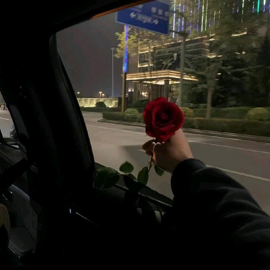 红鼠（三角洲行动）