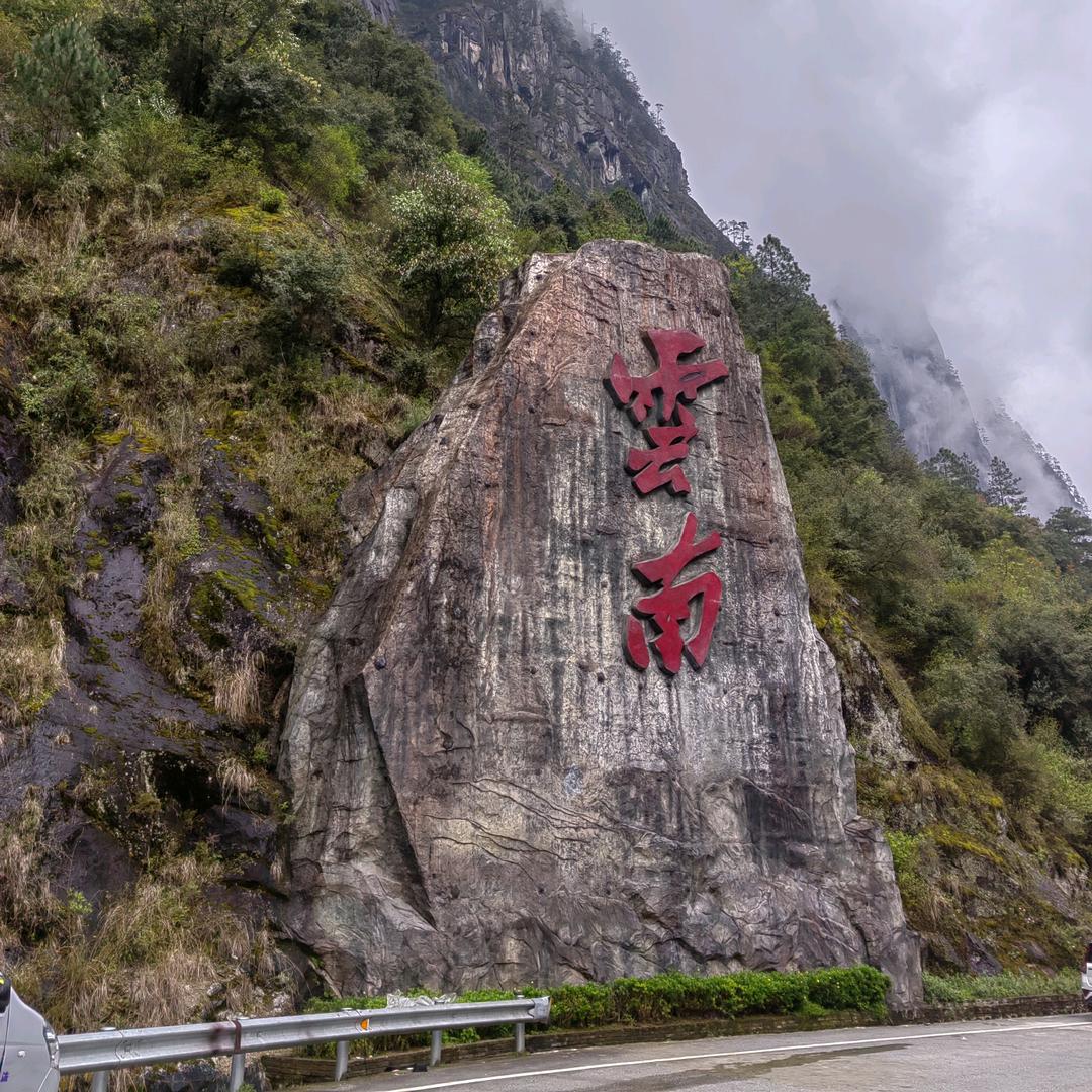 杨先生