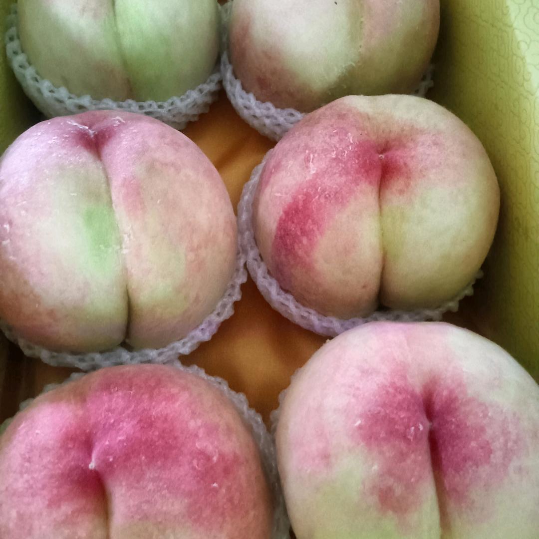 颖上庙台小徐庄张炳臣