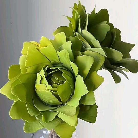 红叶我在远方