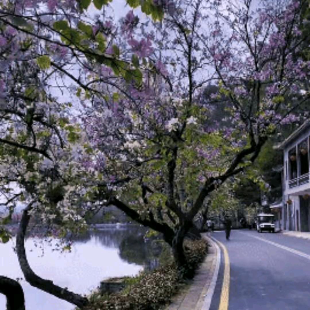 瓷砖美缝和保洁找卫哥1835515778