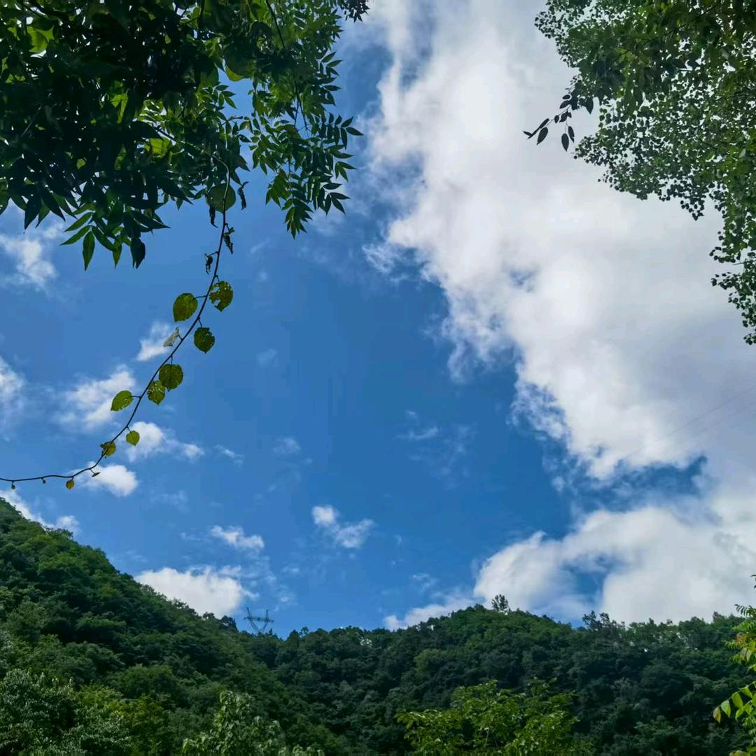 赵一路阳光）