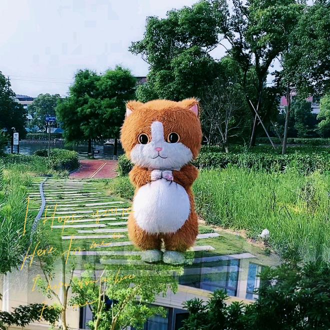 拾年