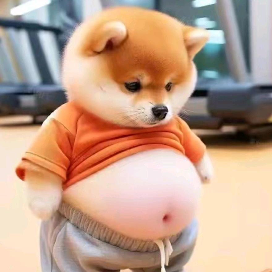 非专业摄影师