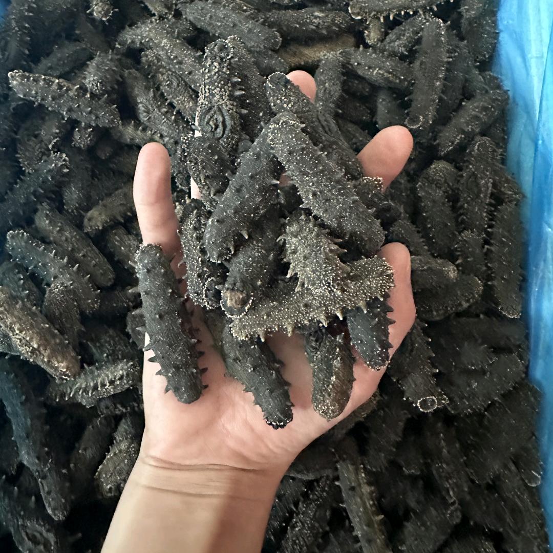 吉瑞海珍