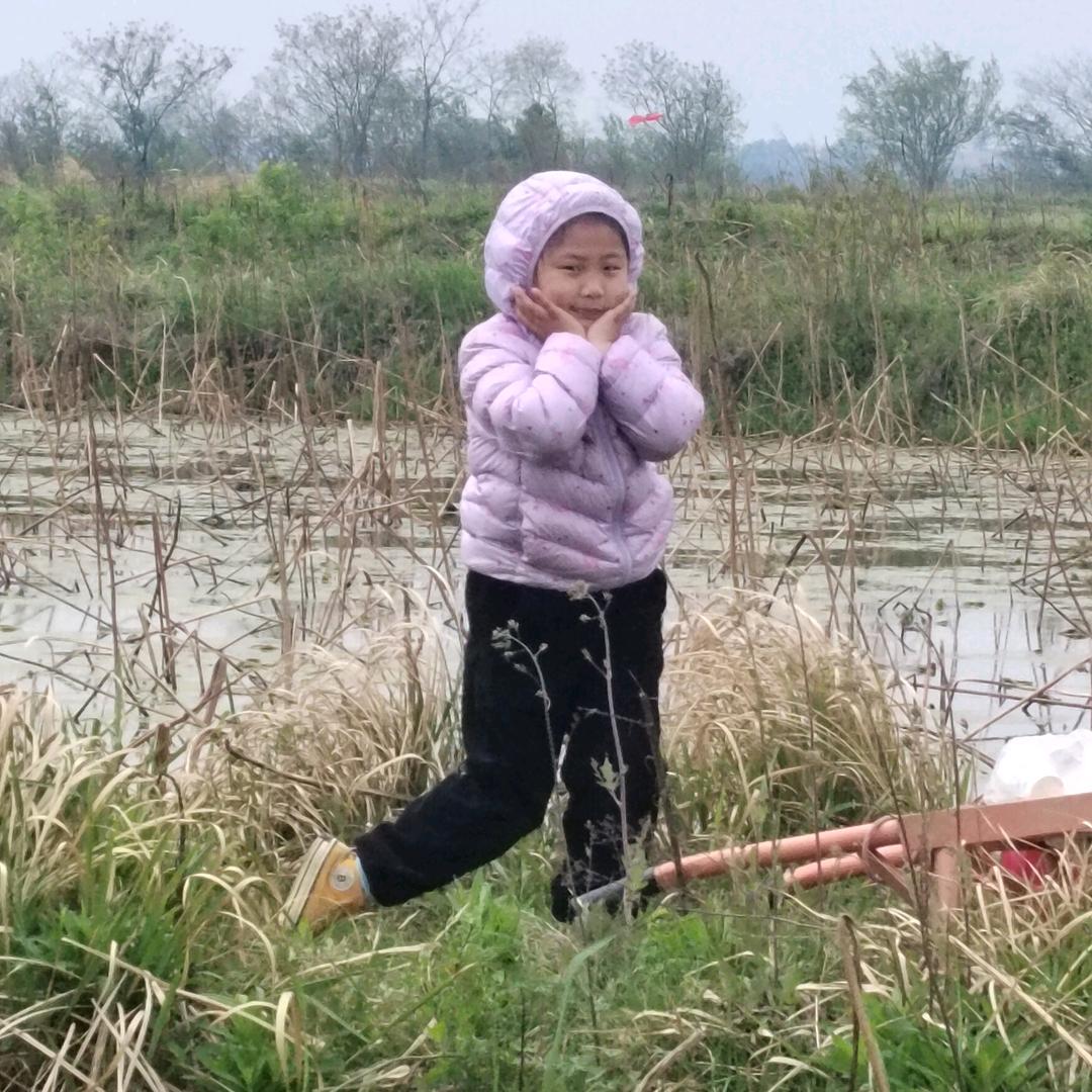 诚诚