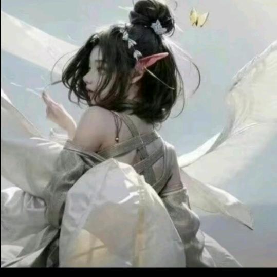 不爱看黑丝