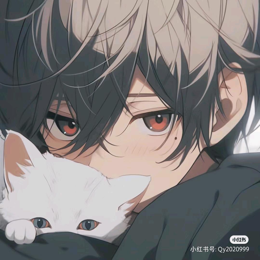 泠辰
