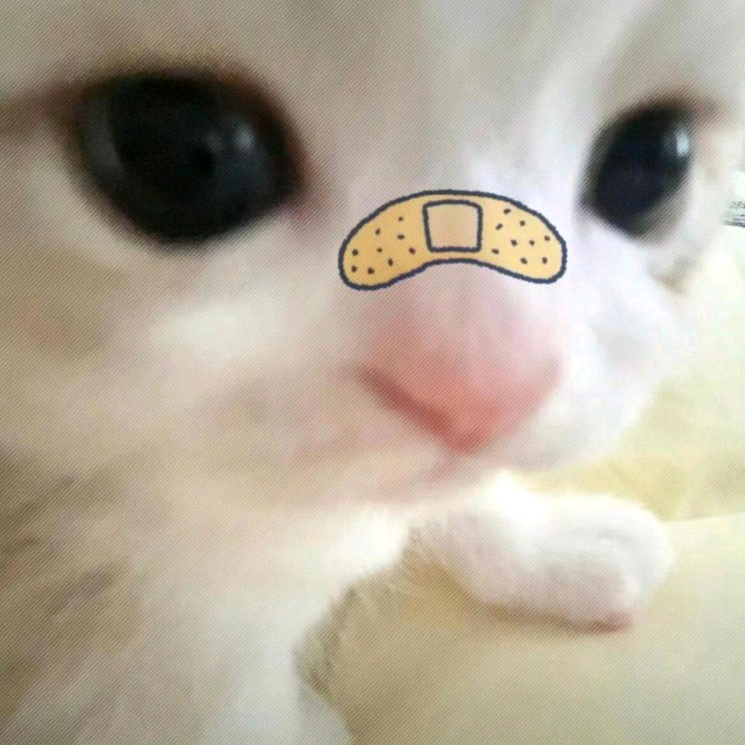 志保控