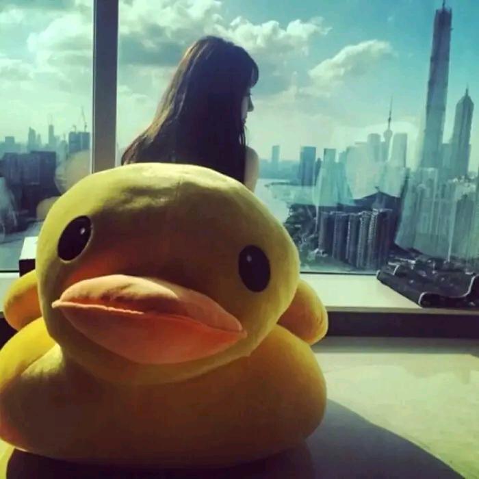 土豆爱吃鱼