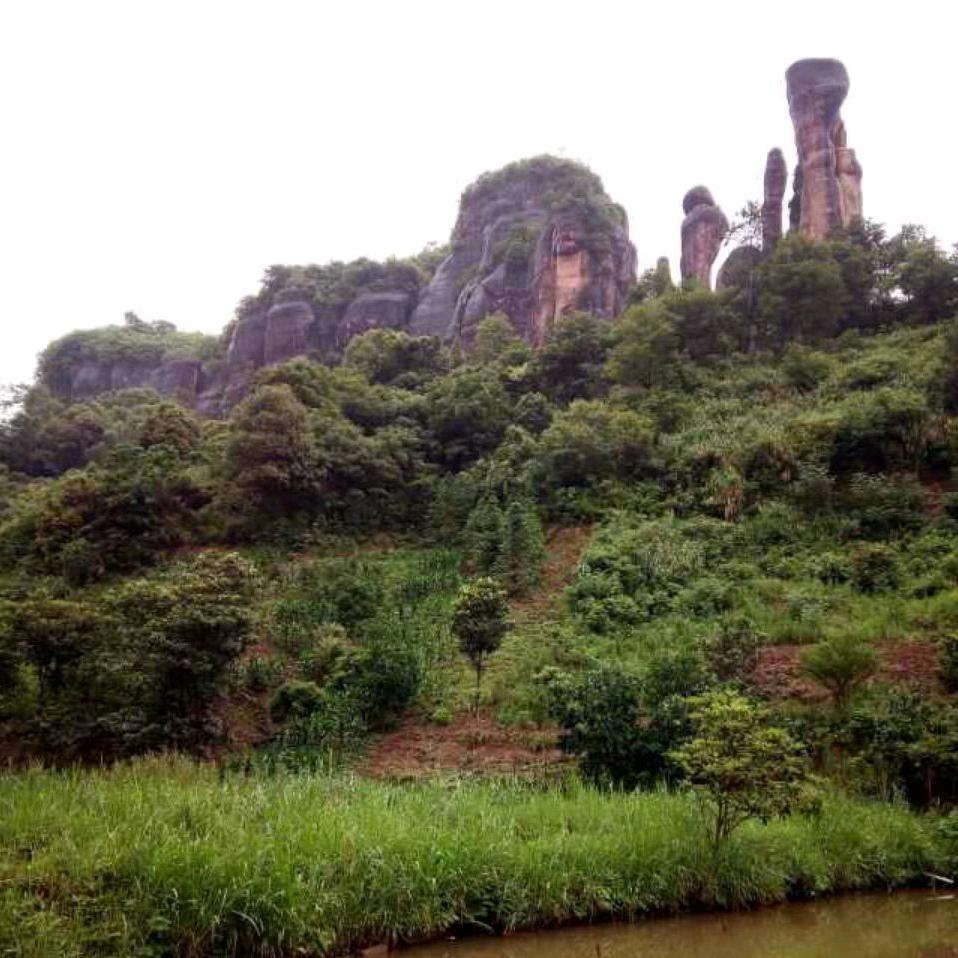 李贱林