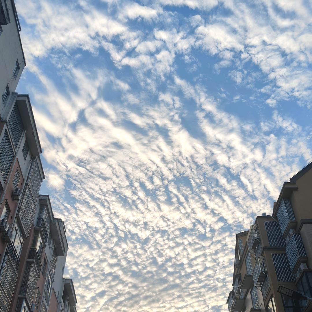 小酒窝