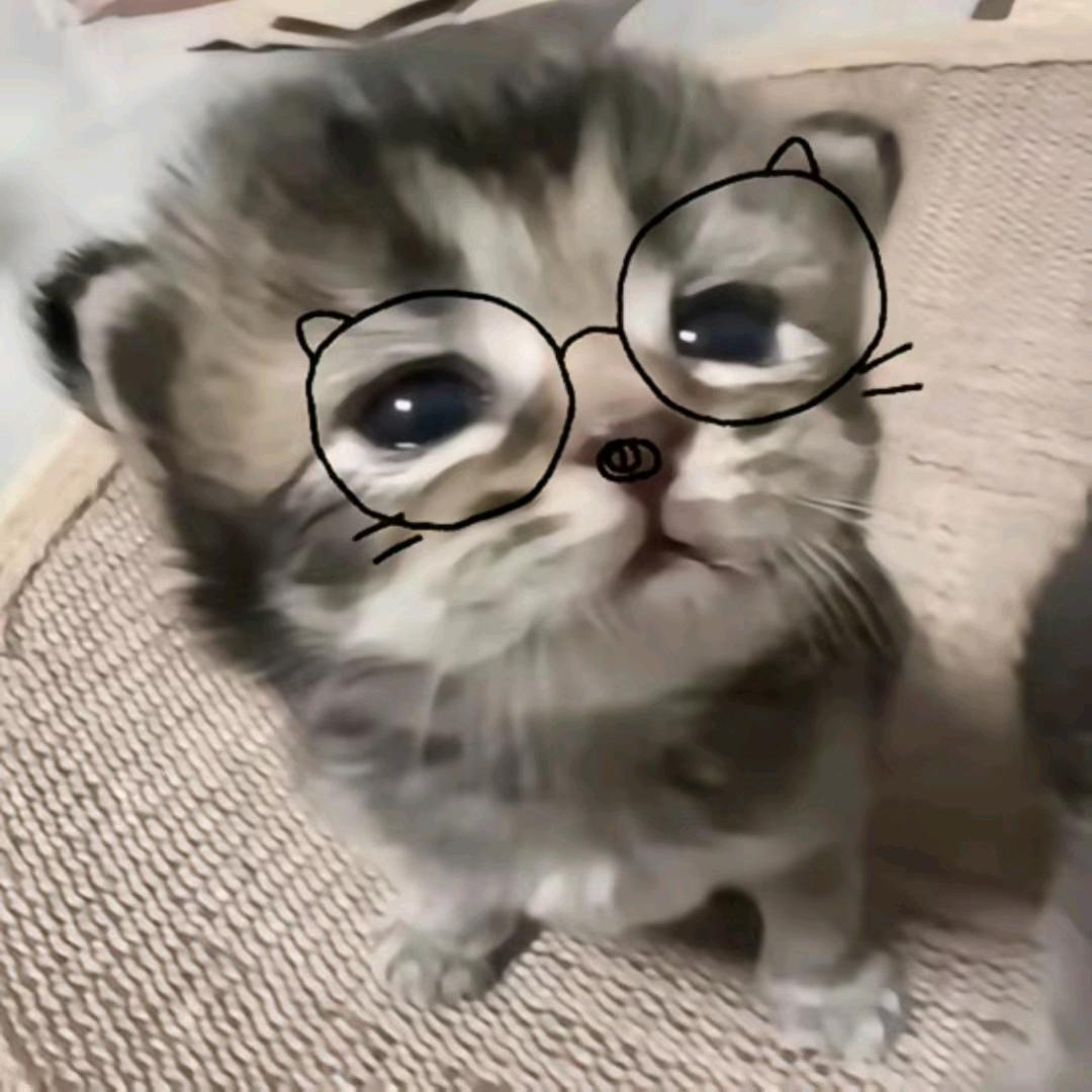 小年