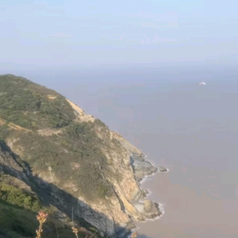 随訫