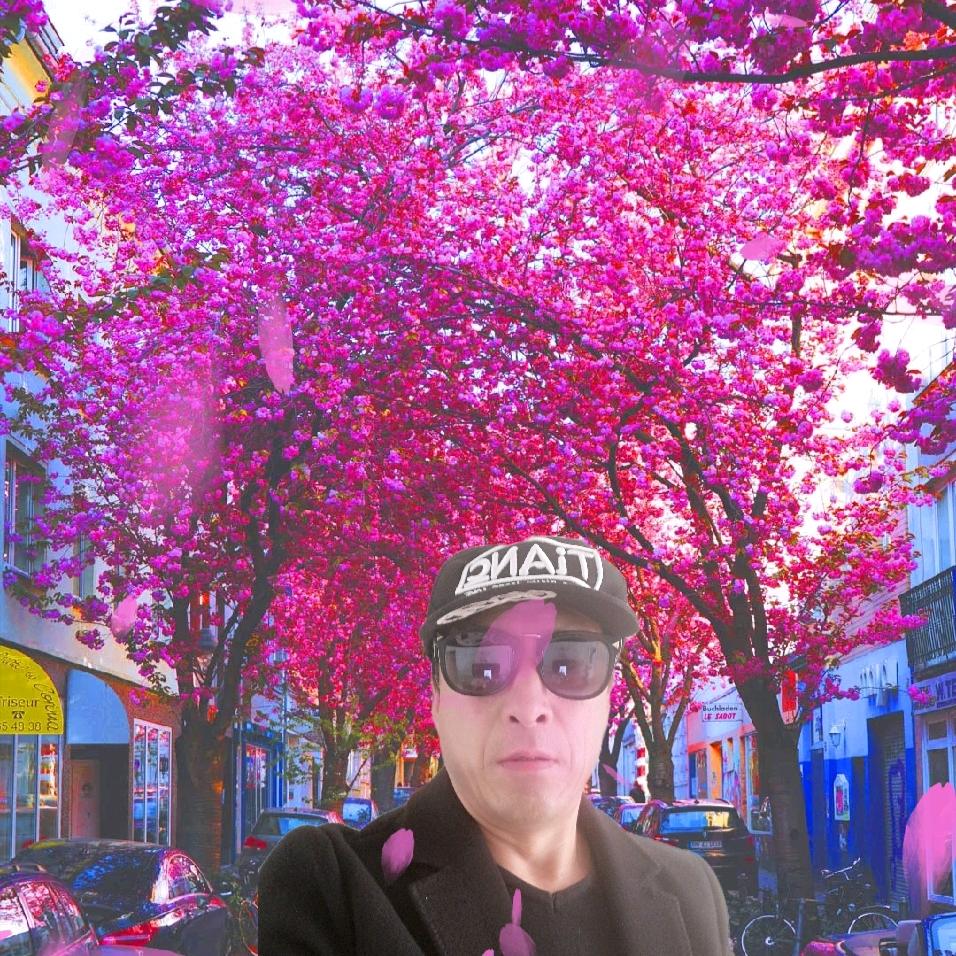 一生一世一双人