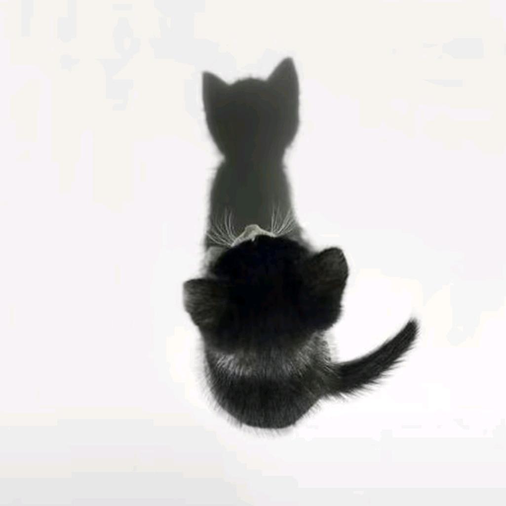抑郁的拖鞋