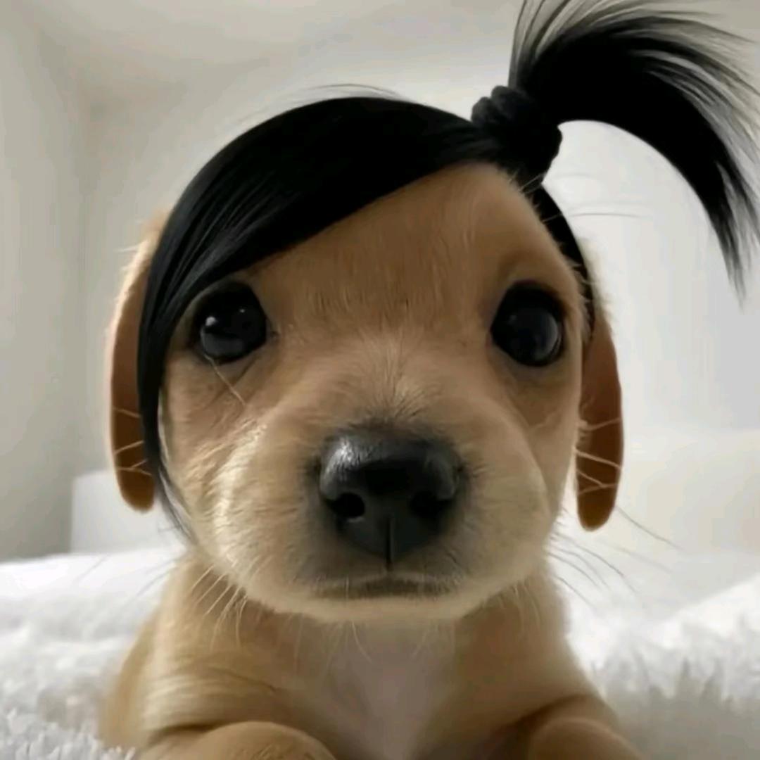 乐事