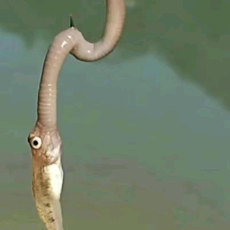人间半途