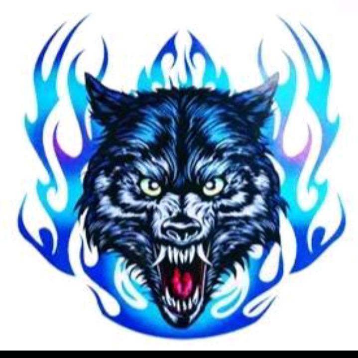 🐺独🐺狼🐺