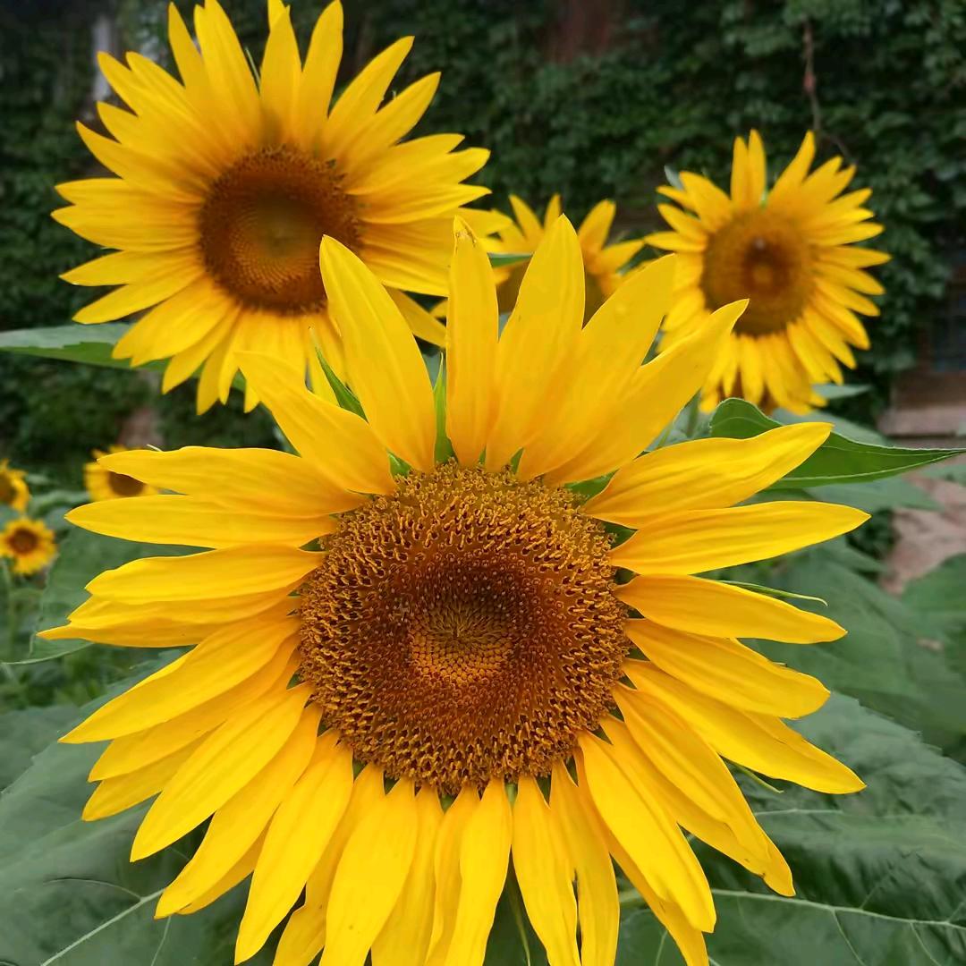 😂😂😂伤心的我这是我小号