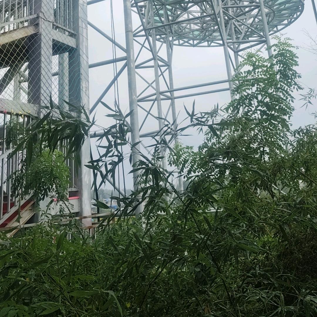 良禽择木而栖