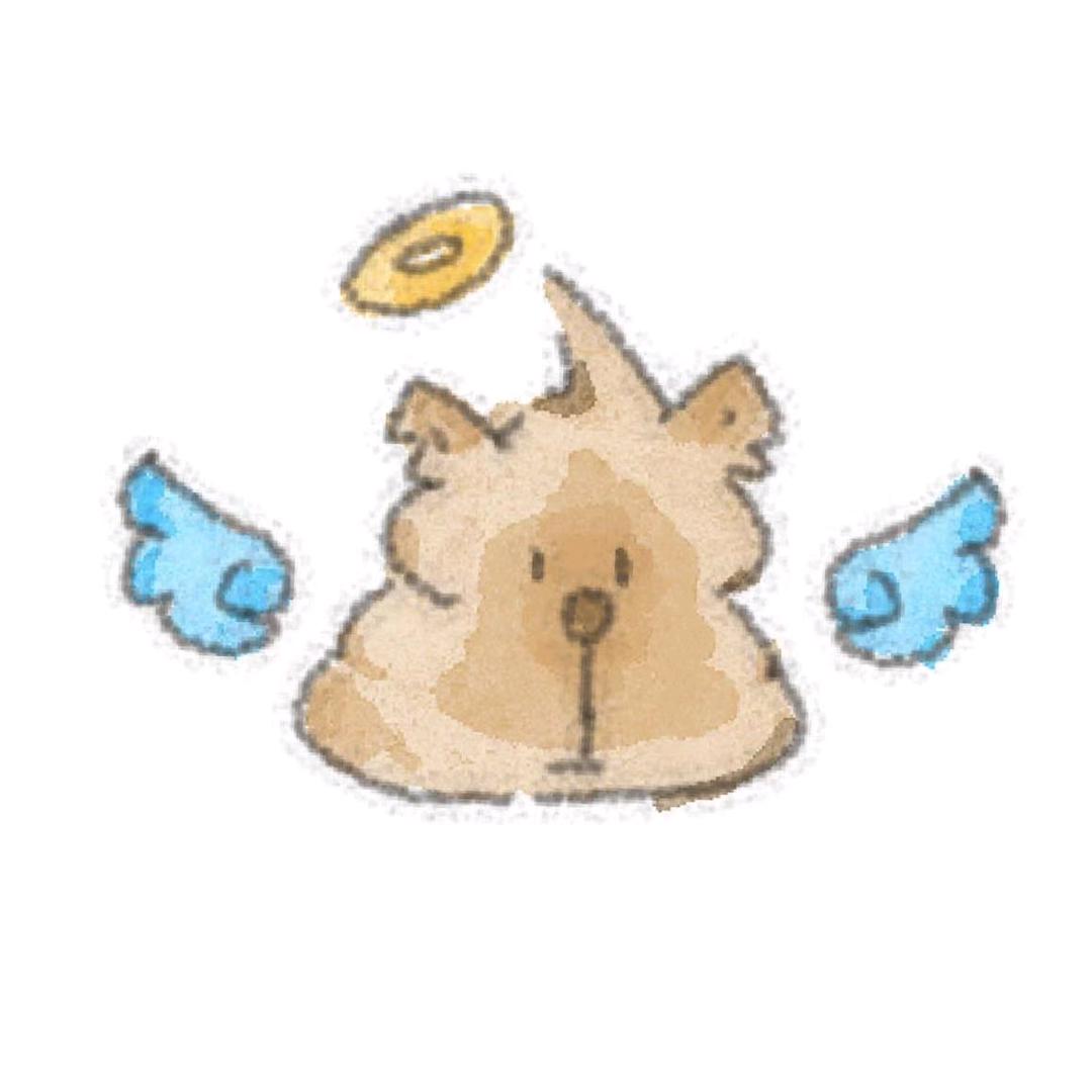 。。。