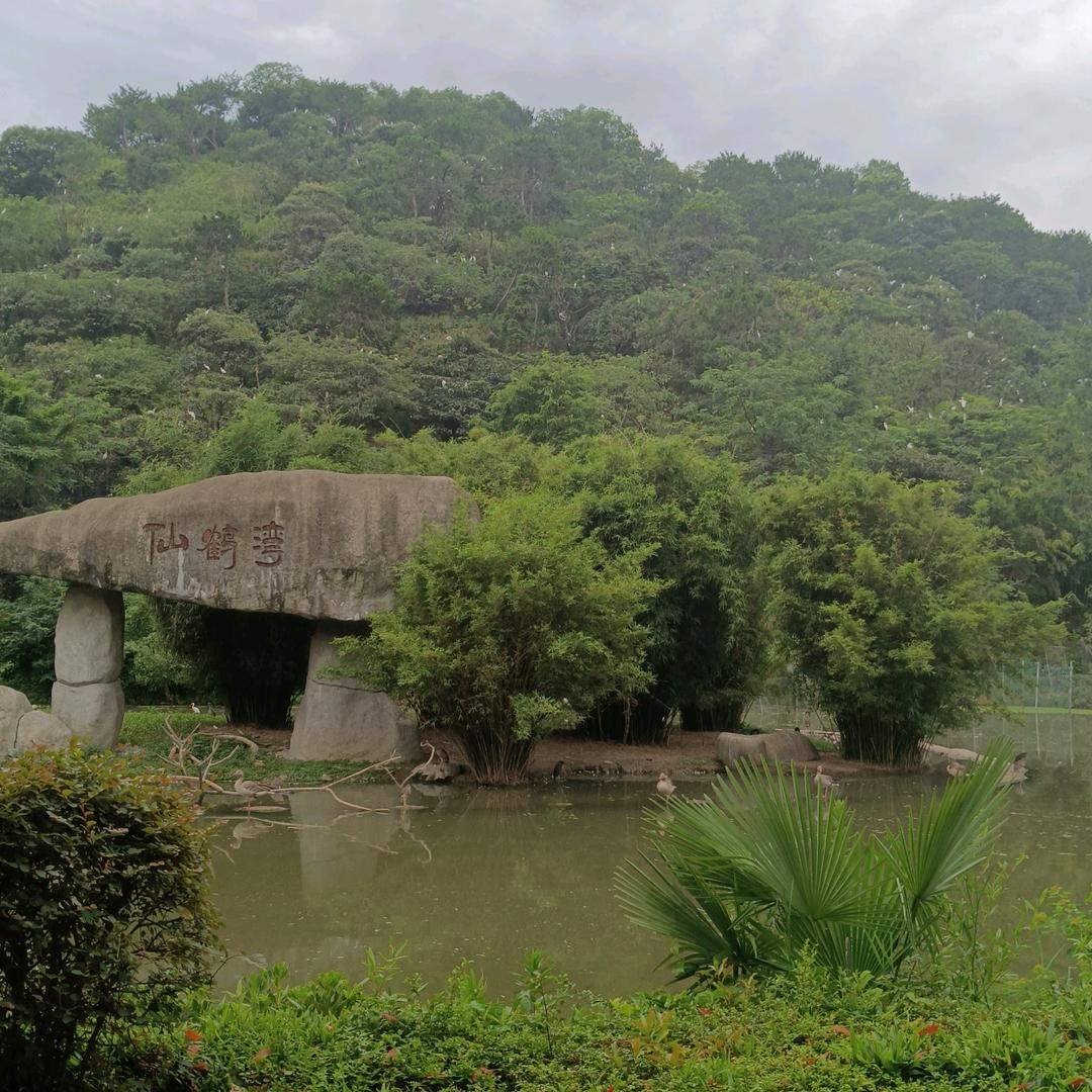 岁月静好