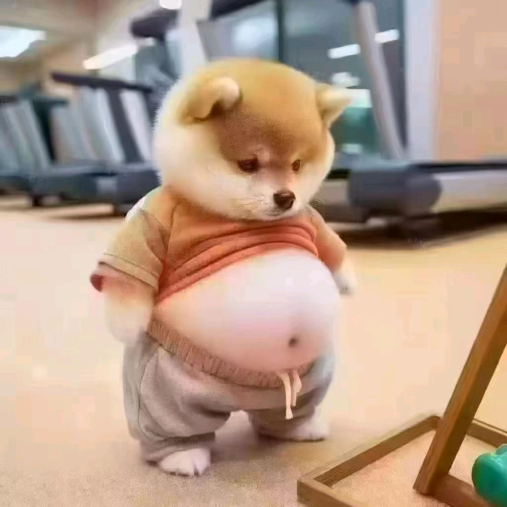 肉多多