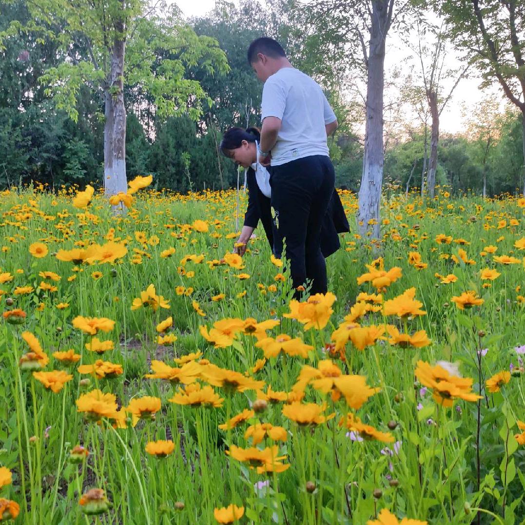 我们的春夏秋冬