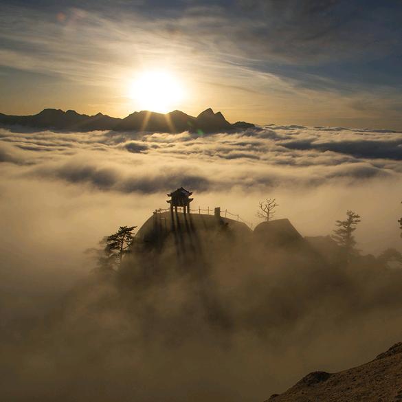 华山墨客