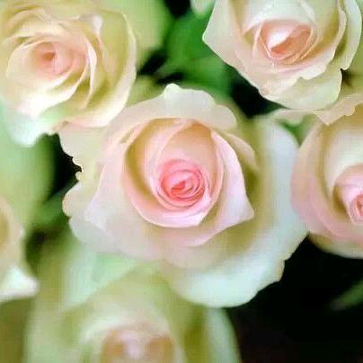 ᭄ཽ࿆ღ暖心ཽ࿆ღ