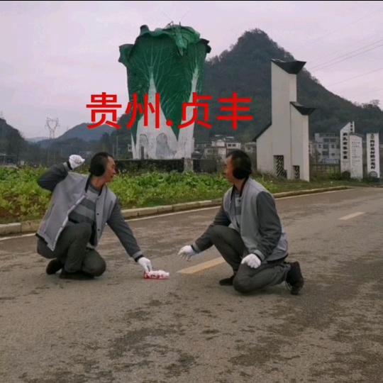 贞丰哥