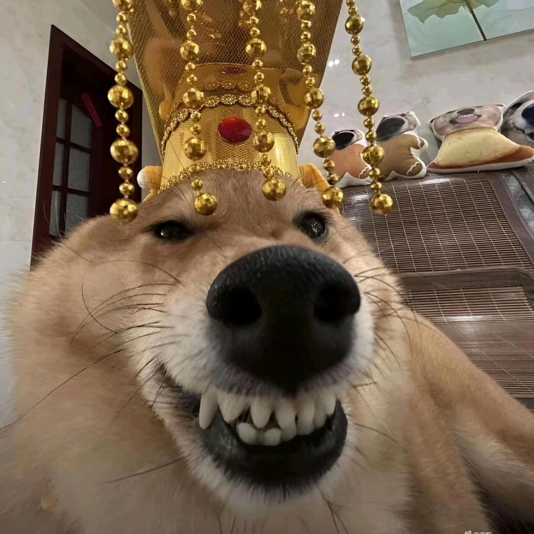 十六☀̊̽̊️̊̽̊