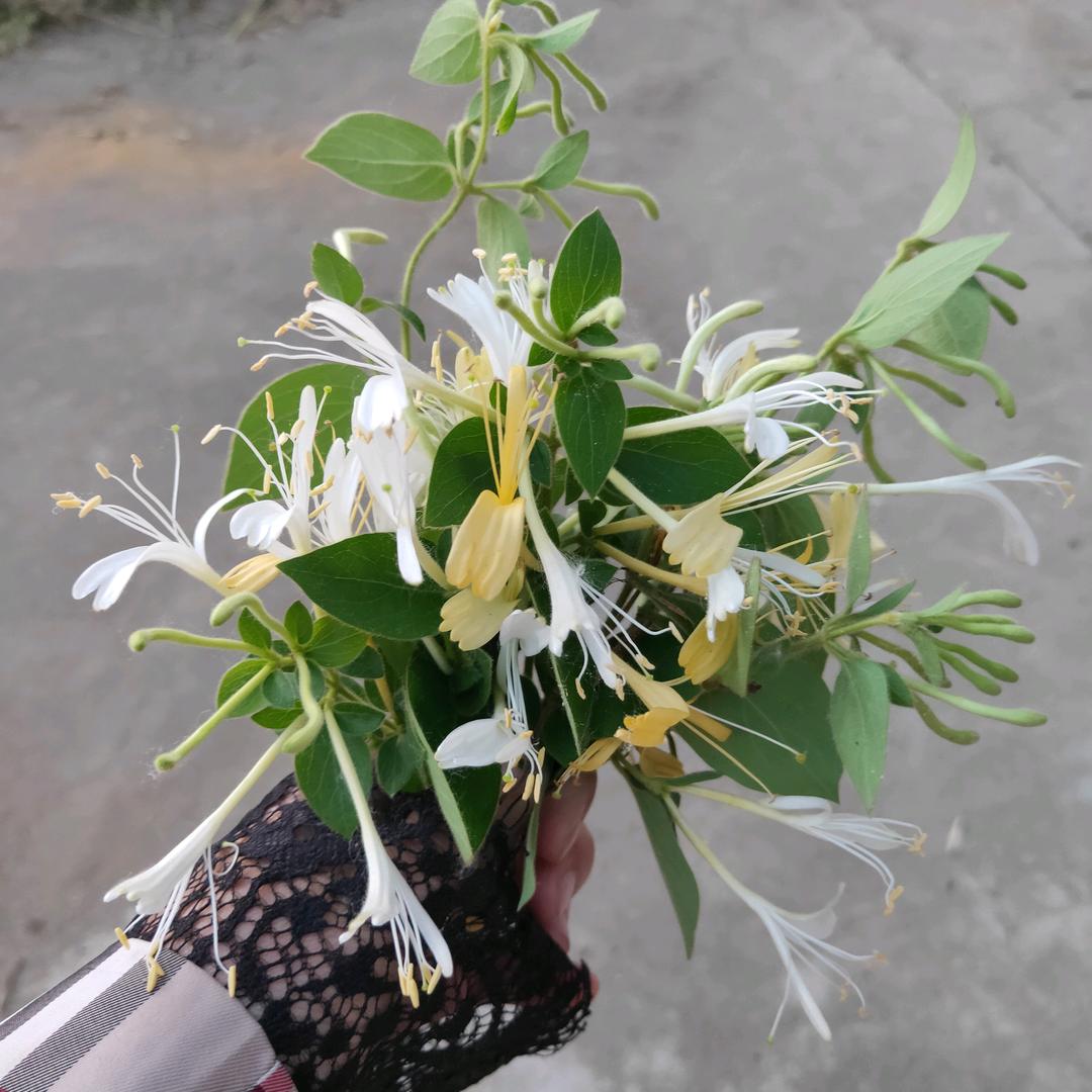 自愈