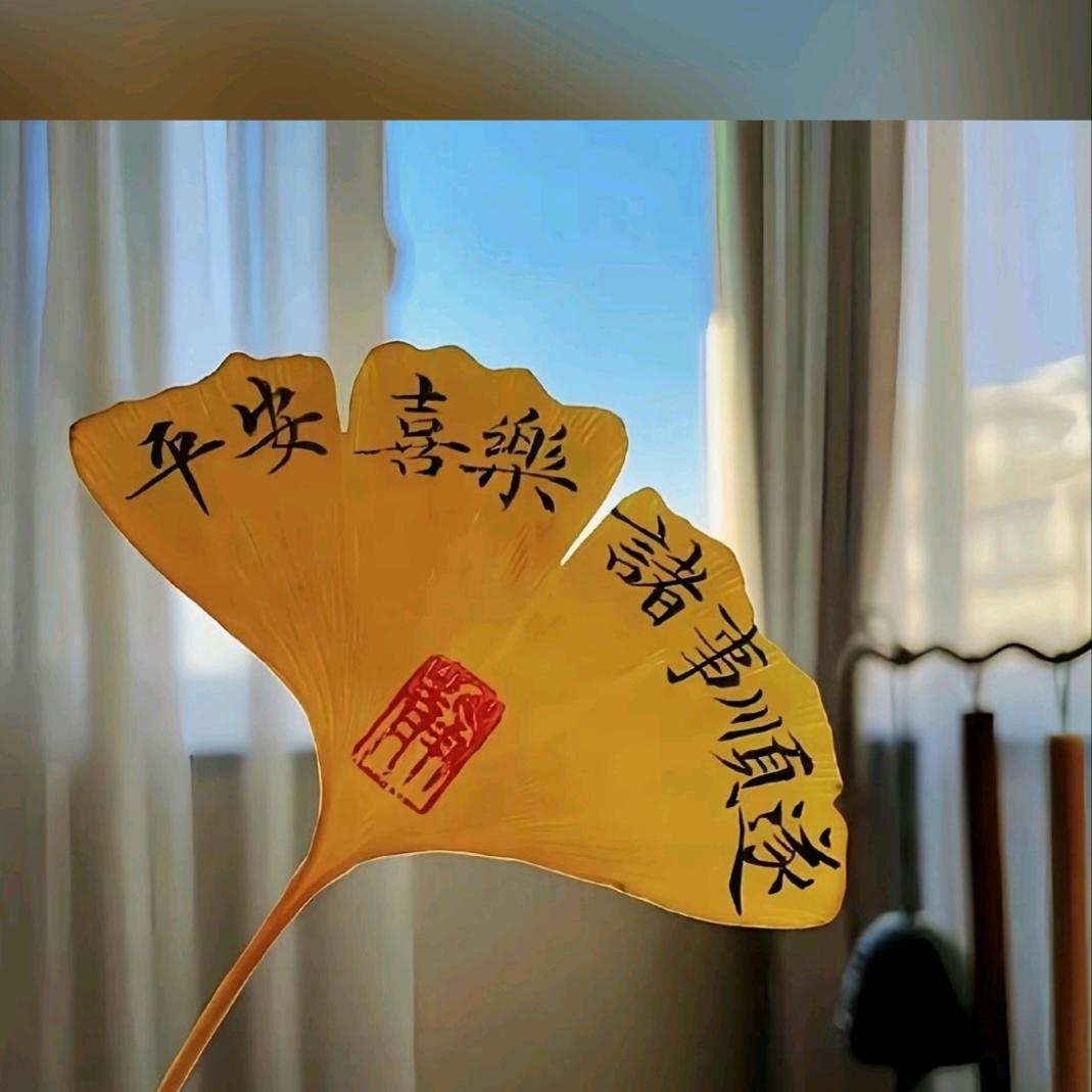 🌺এᐝ所念皆♫如愿࿐