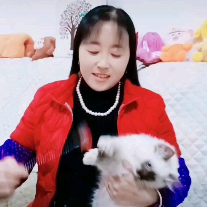 人生如梦