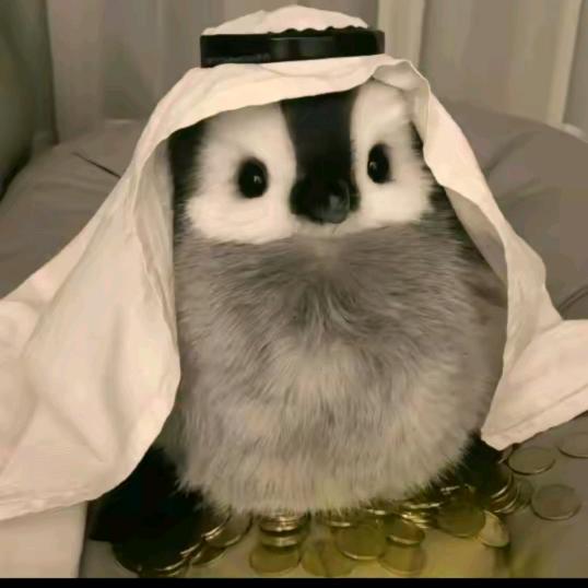 尔東