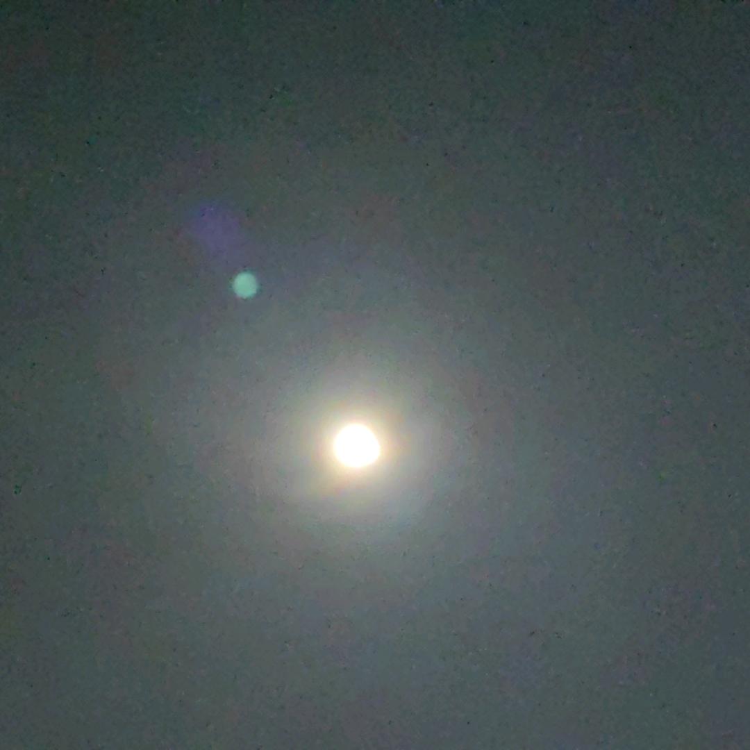 老陈不爱说话