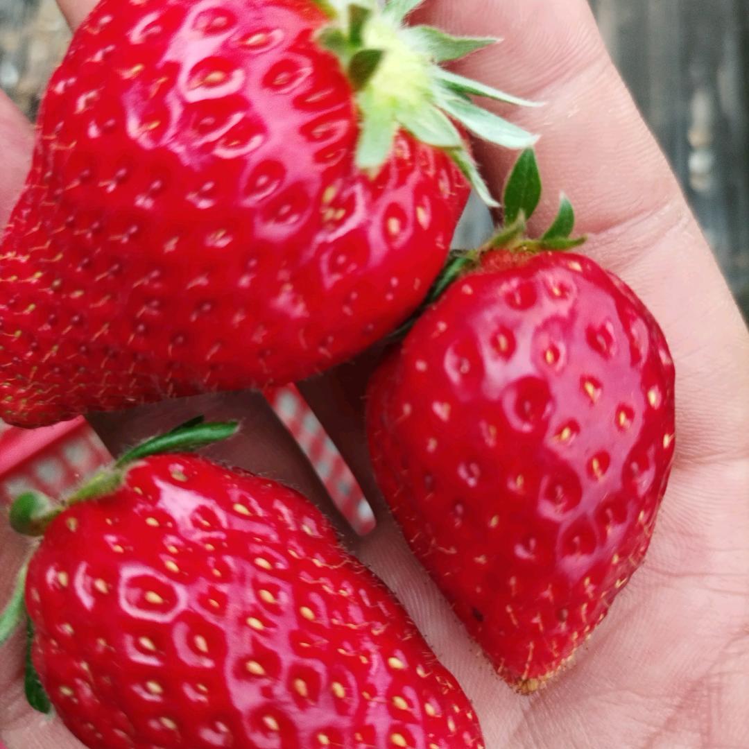 微醺的感觉最好