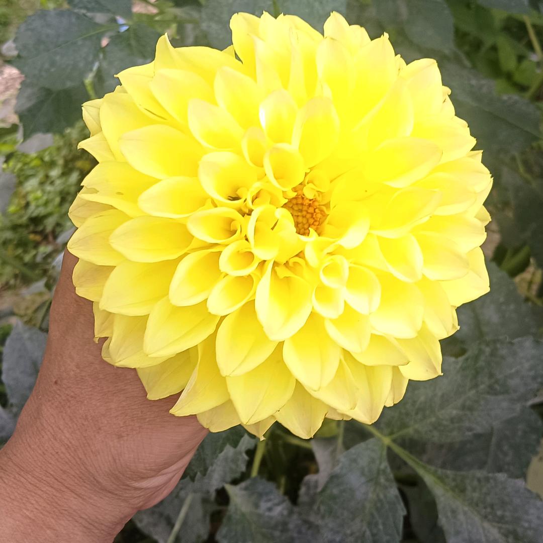 |春天