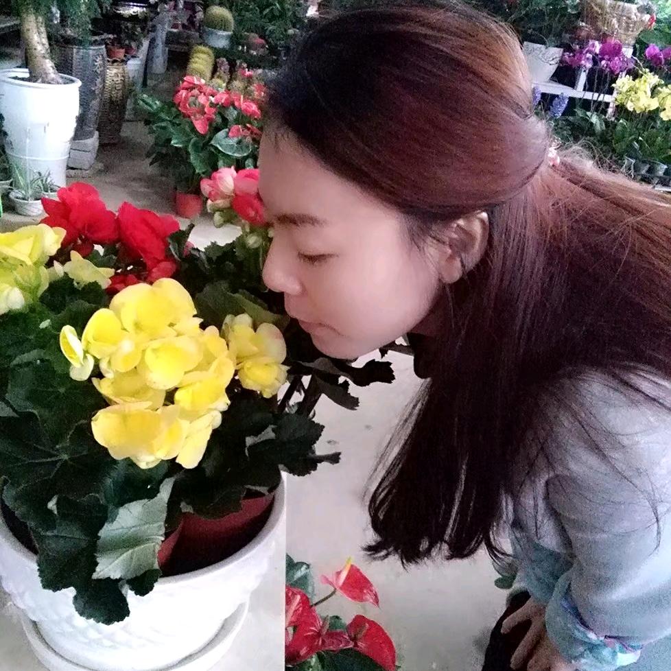 盖碗泡的都是茶🍵