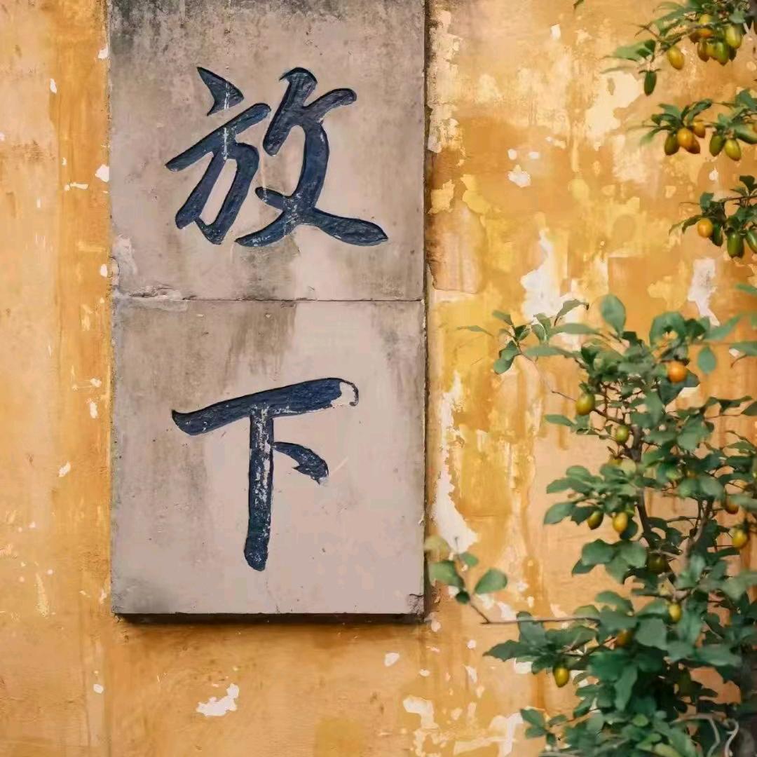 👑卍加油蔡蔡卍👑✨