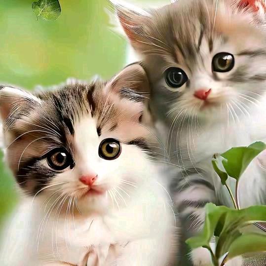 路遥知马力日久见人心