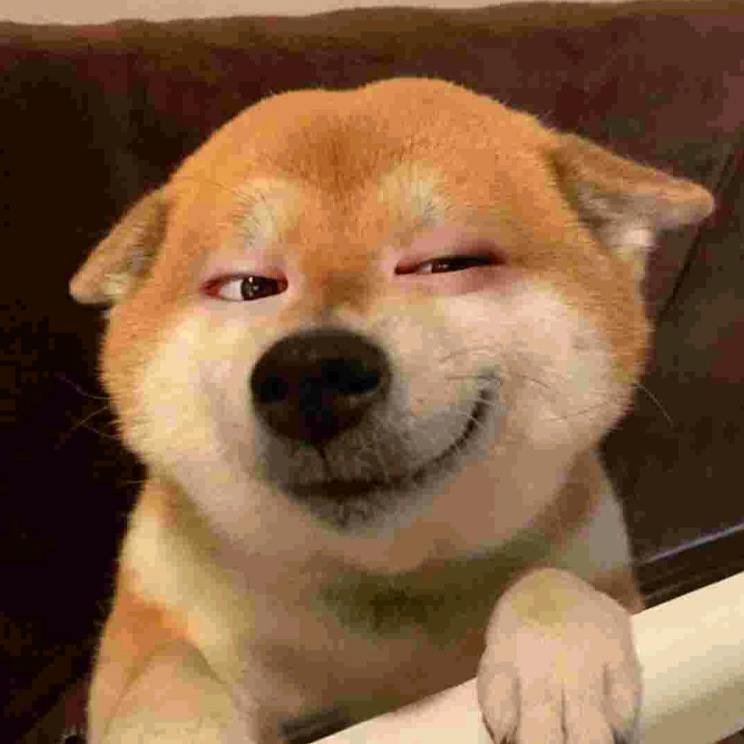 ㅤ氼乚²⁰²⁵ ᵕ̈