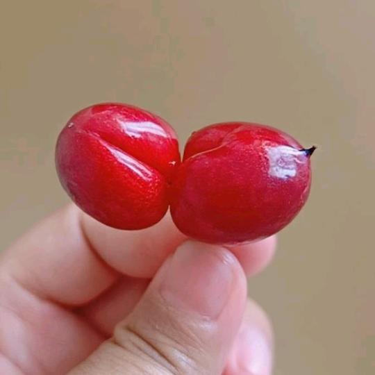 大牌服饰潮流优选铺