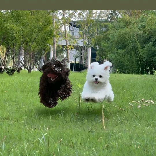 弱电设备 网线电缆厂家直销