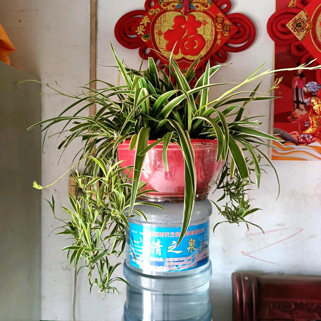 我是刘祖旺