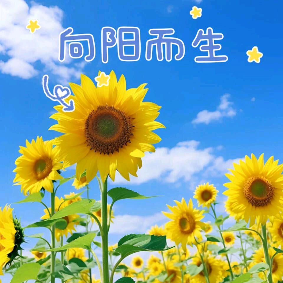小飞