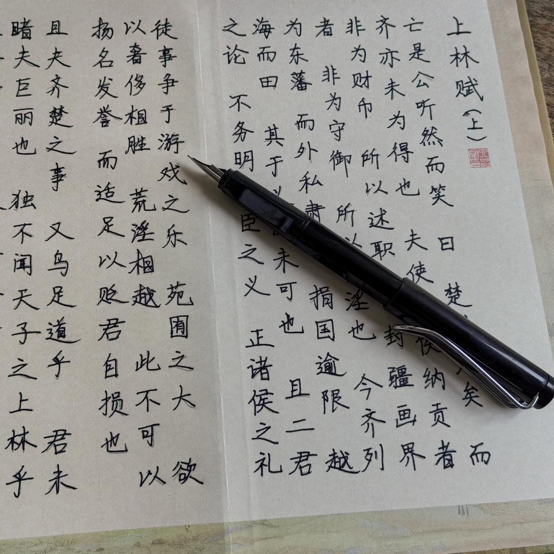 每天一篇小文文