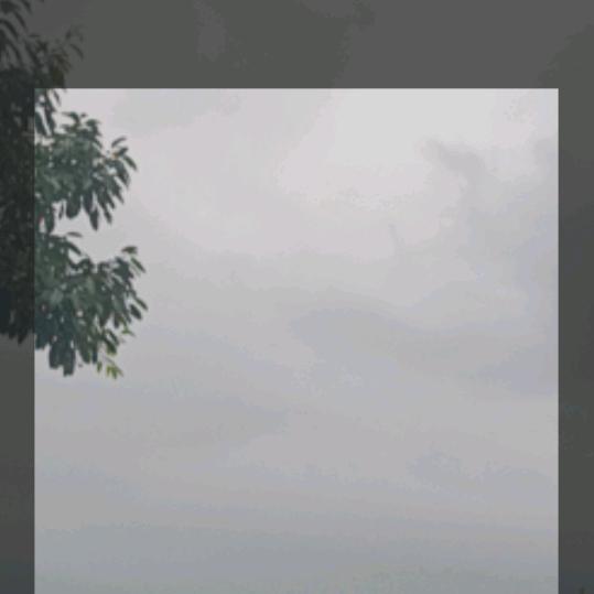 迷失的尘埃